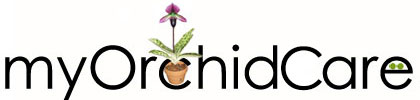 Orchid Care Tips